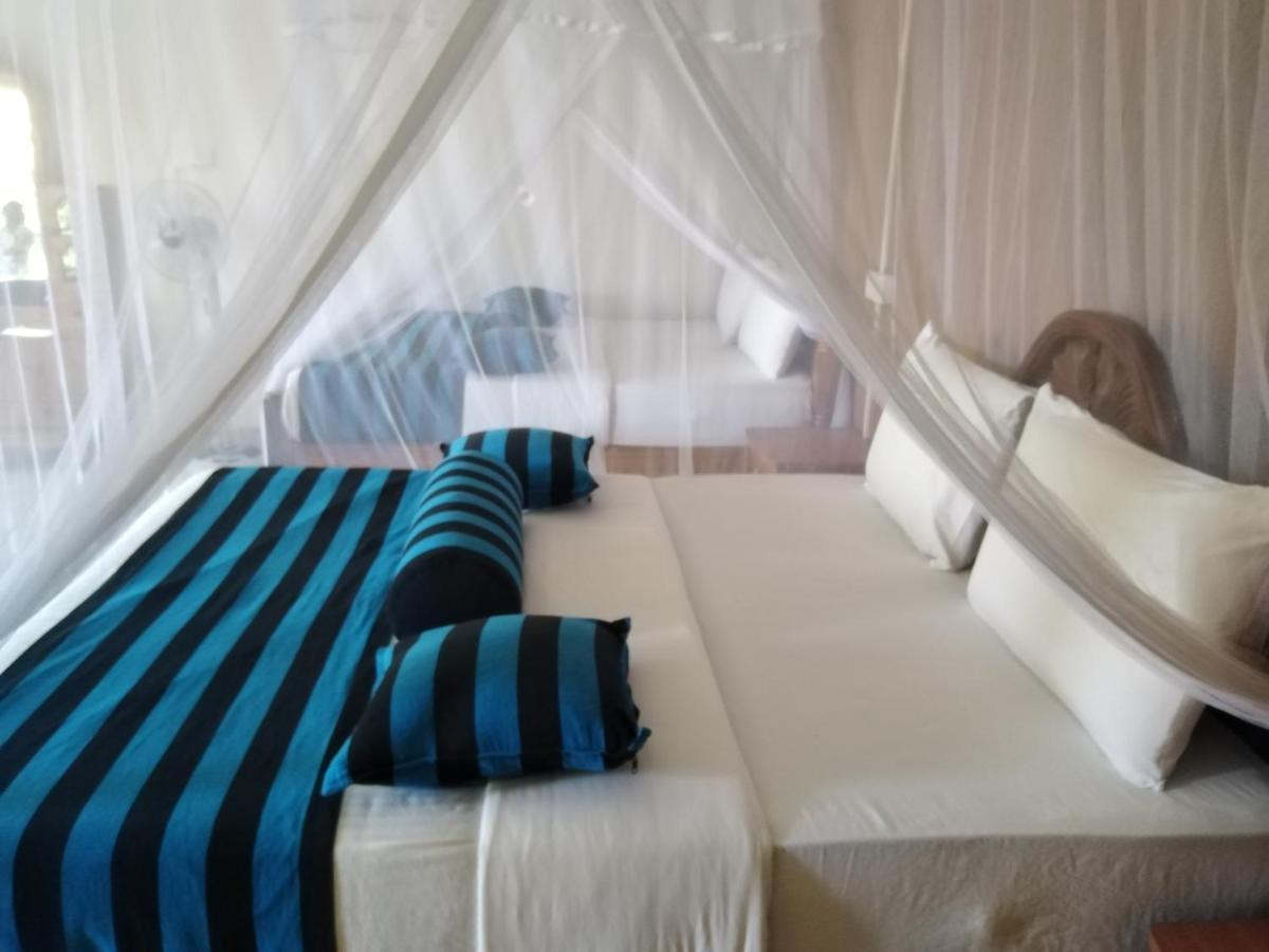 אלה Blue Ribbon Homestay מראה חיצוני תמונה