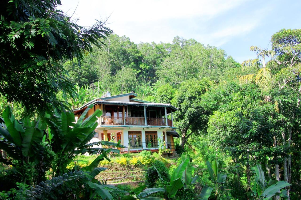 אלה Blue Ribbon Homestay מראה חיצוני תמונה